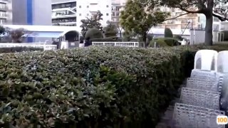 杨门十二寡妇艳史hd - 1080P免费电视剧